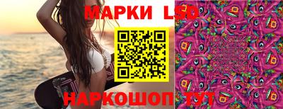стафф Лесосибирск